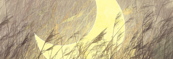 Under an Irish Moon