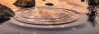The Water Horse
